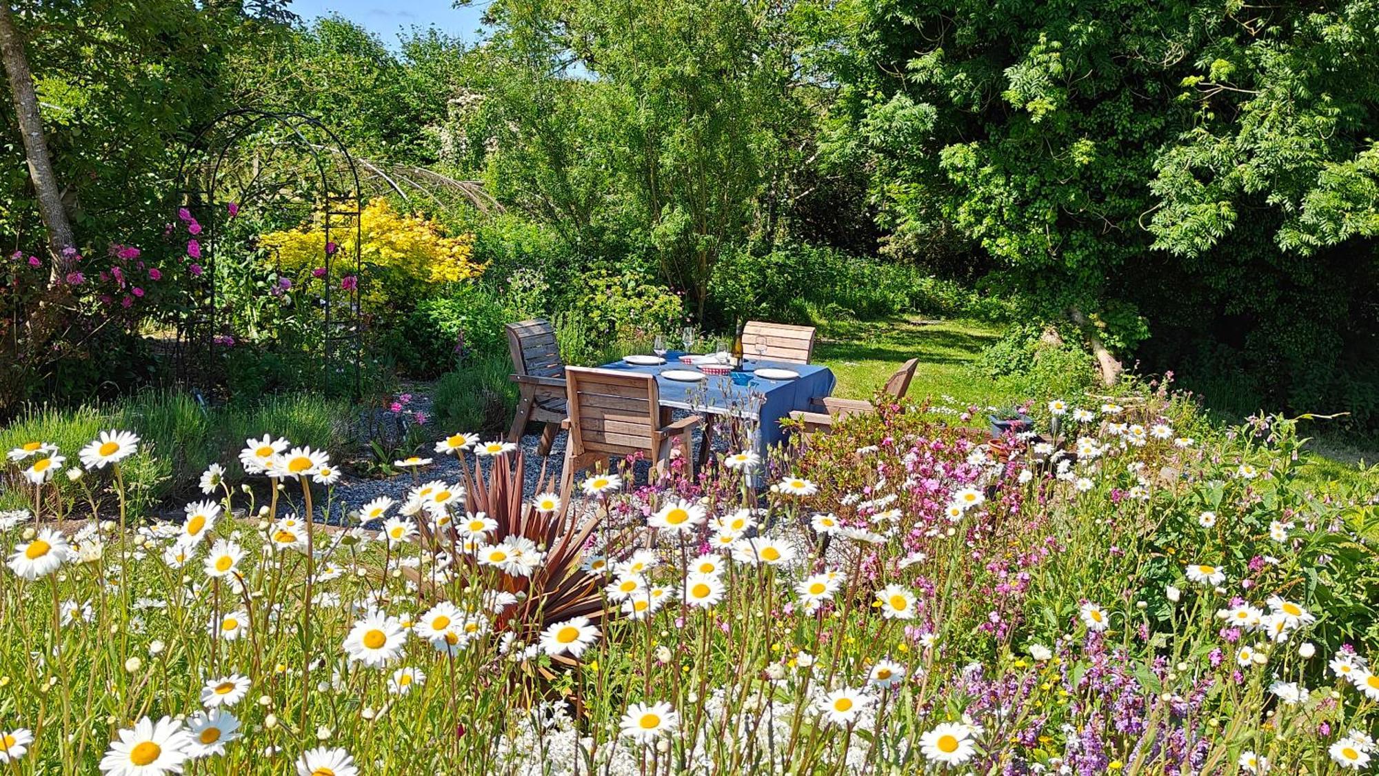 Darracott Farm Cottage Welcombe Bagian luar foto